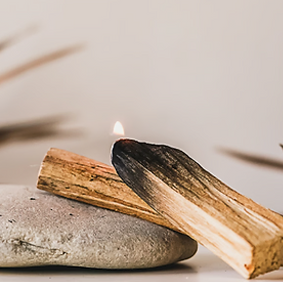 Palo Santo Candle