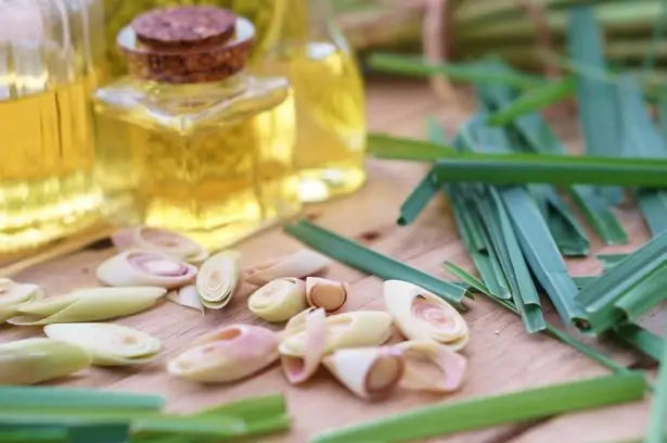 Découvrez les Bienfaits Exceptionnels du Savon à l'Huile Essentielle de Citronnelle