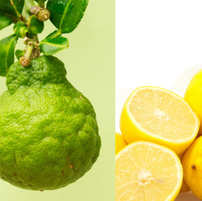 Brume d'ambiance naturel | Citron + Bergamote